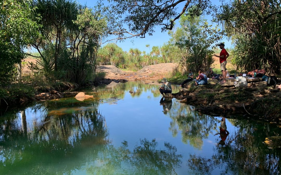 Swampy Methods Field School